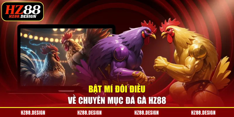 Bật mí đôi điều về chuyên mục đá gà HZ88