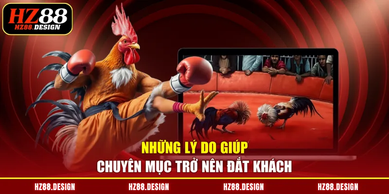 Những lý do giúp chuyên mục trở nên đắt khách
